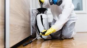 Best Fumigation Services  in Gulf Shores, AL